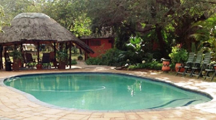 Bushbaby Lodge and Camping