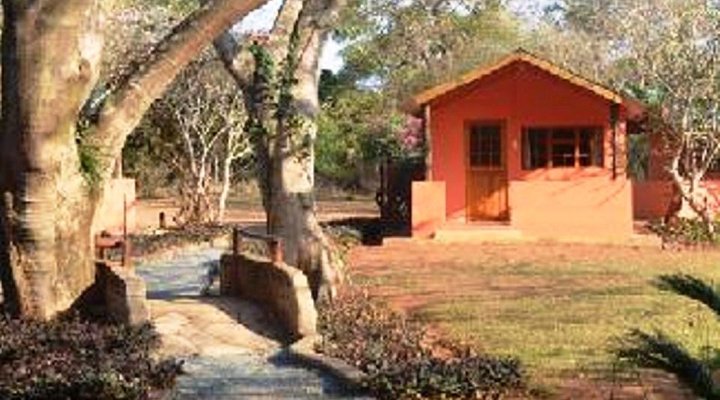 Bushbaby Lodge and Camping