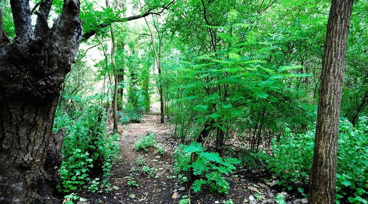 Out Of Afrika Guest Lodge