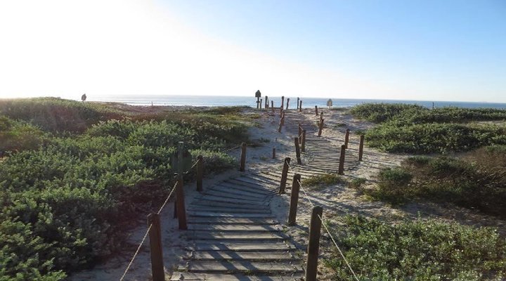 Neptunes Isle Apartment with a View