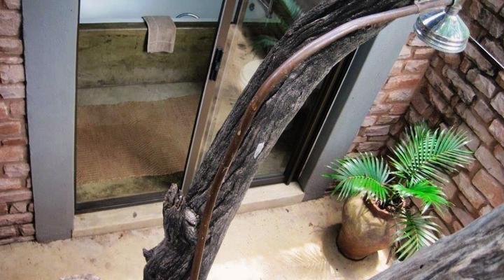 Zambezi Island Lodge