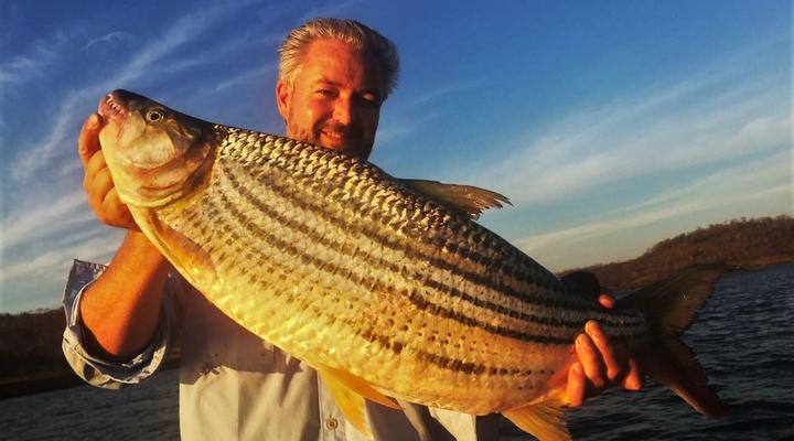 Zambezi Island Lodge