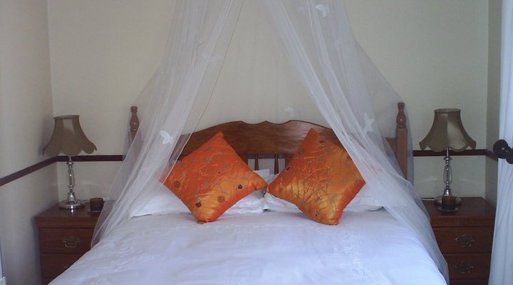 Avon Road Guest House and Tours