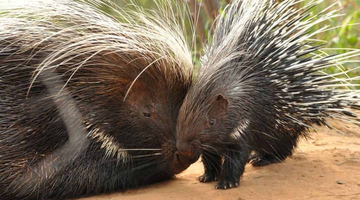 Shakati Private Game Reserve