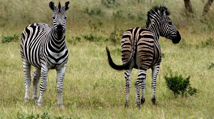 Shakati Private Game Reserve