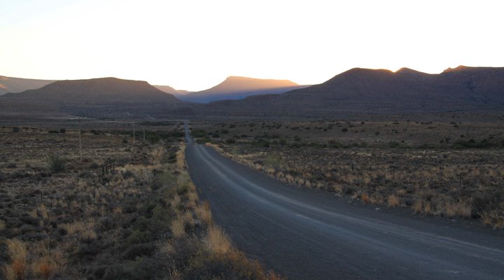 Tamboershoek
