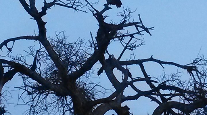 Kataza Bushveld Chalet