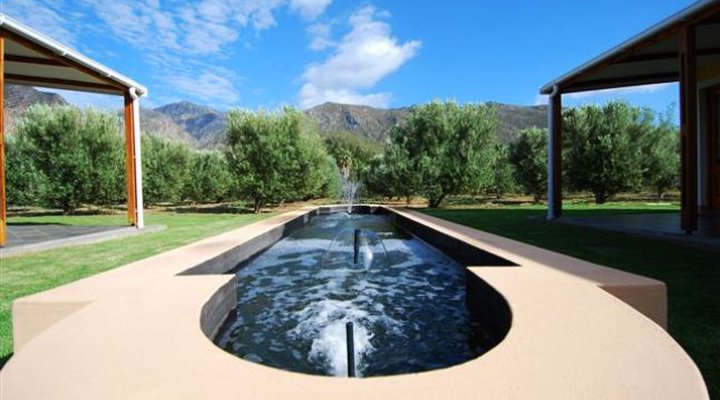 Mirihof Olive Guest Farm