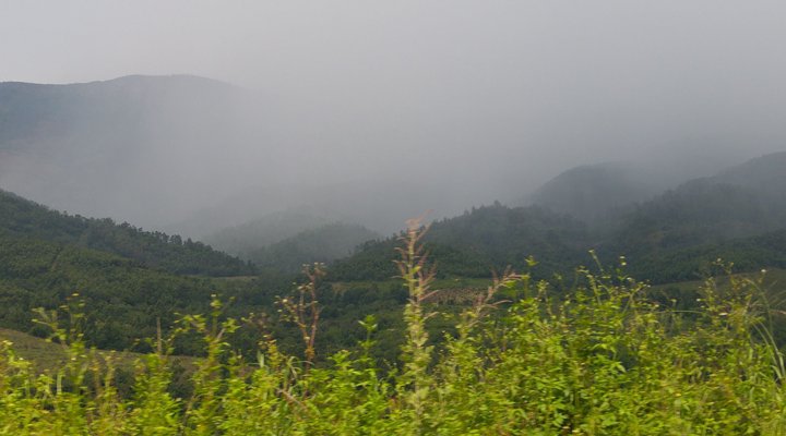 Earth Creations House of Art