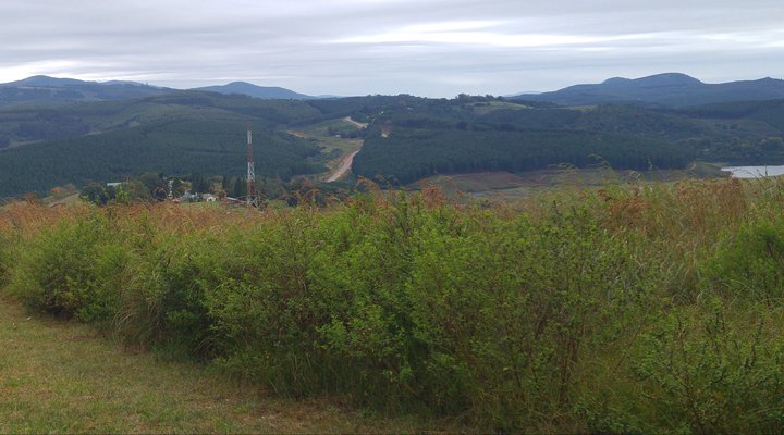 Earth Creations House of Art