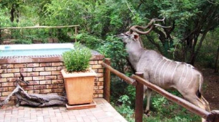 Marloth Bush Retreat