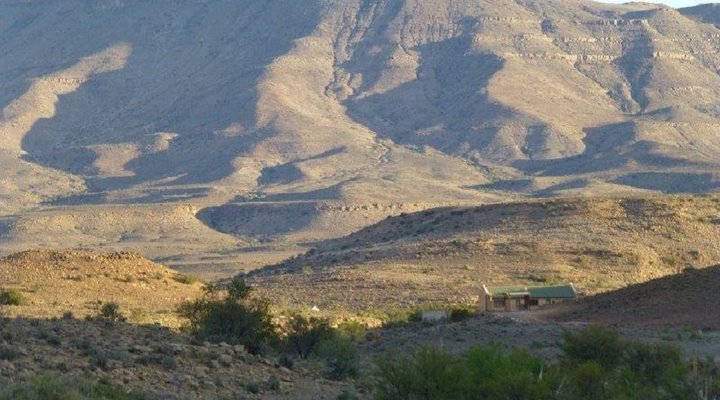 Tamboershoek