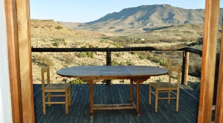 Tamboershoek