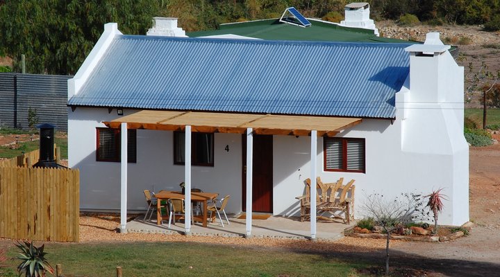 The Cat and Cow Guest Farm