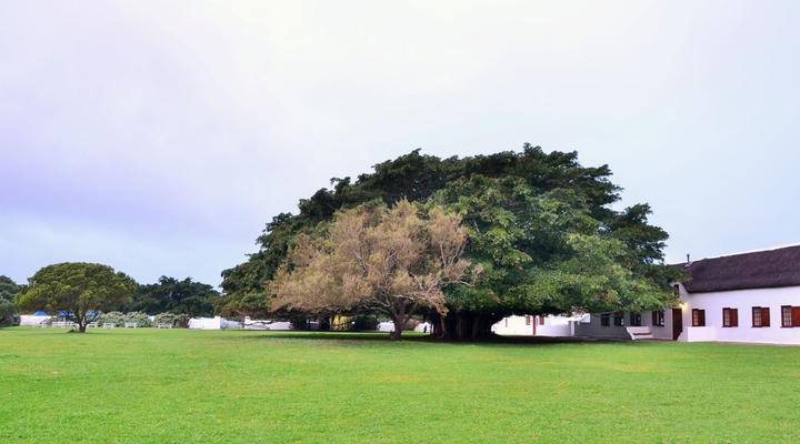 De Hoop Collection - Campsite Rondawels