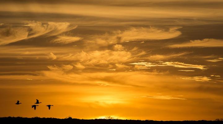 De Hoop Collection - Campsite Rondawels