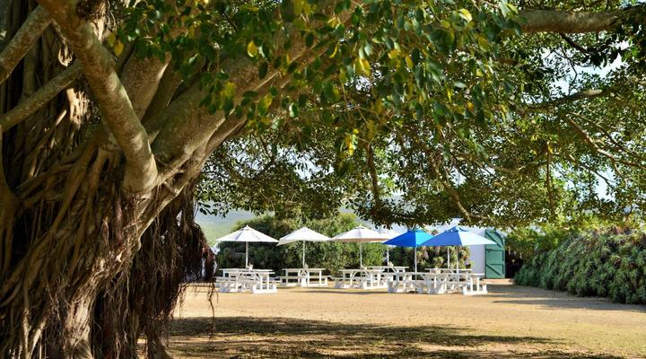 De Hoop Collection - Campsite Rondawels