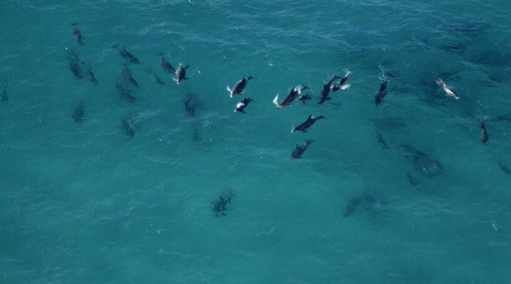 De Hoop Collection - Campsite Rondawels