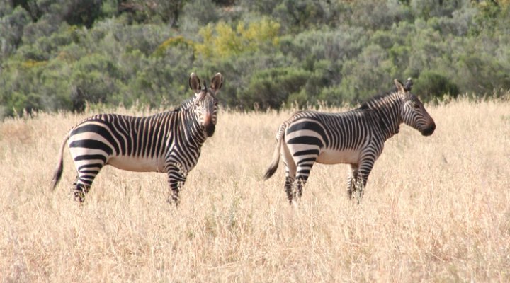 Rolbaken Guesthouse and Nature Reserve