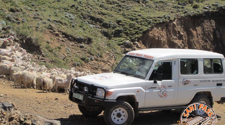 Sani Pass Tours