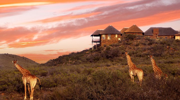 Zandibela Private Game Lodge