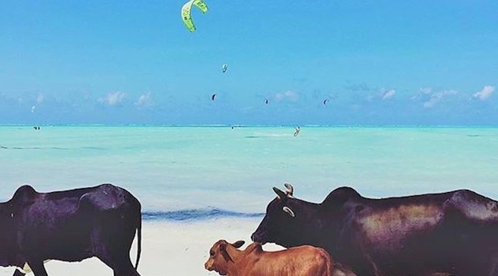 Oceanfront Retreat - Paje Kite Beach