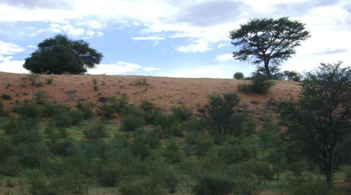 Kalahari Farm Stall Accommodation