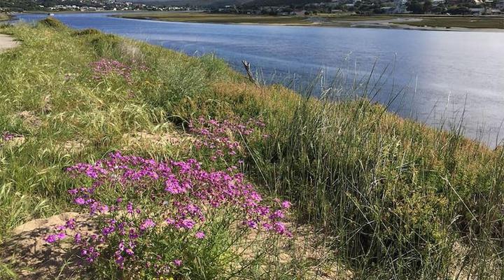 Stilbaai Family Holiday Home