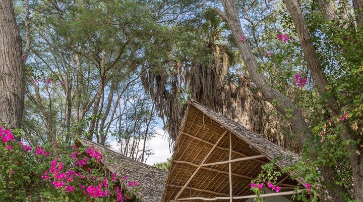 Ecolodge Kuwinda Safari Tented Camp