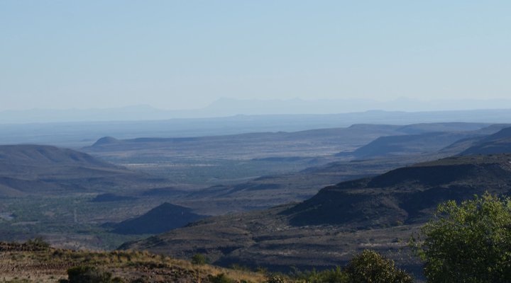 Tamboershoek
