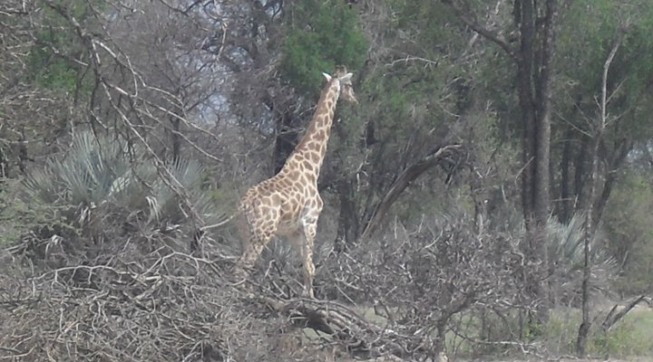 Paradise Rest Camp Grootfontein