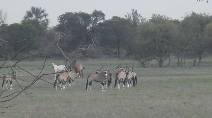 Paradise Rest Camp Grootfontein