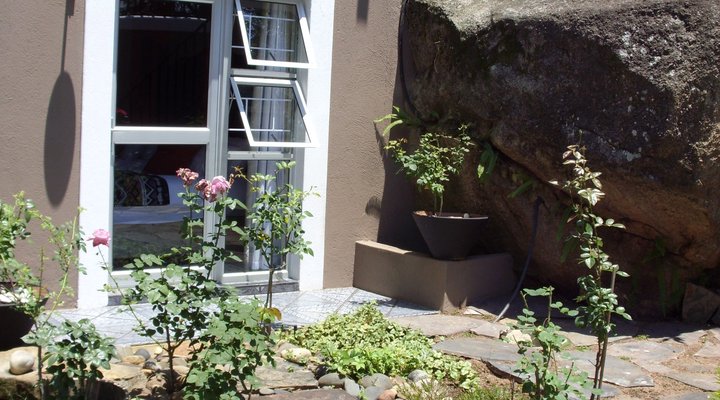 Purple Zebra Guest House