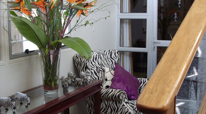 Purple Zebra Guest House