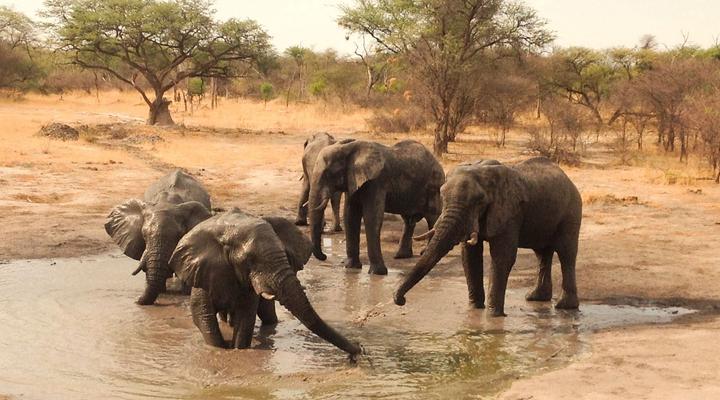 South Okavango | Omogolo Hideaways