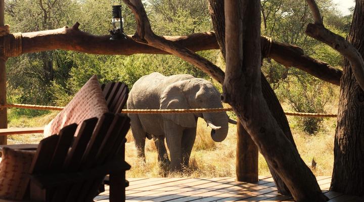 South Okavango | Omogolo Hideaways
