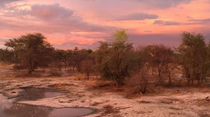 South Okavango | Omogolo Hideaways