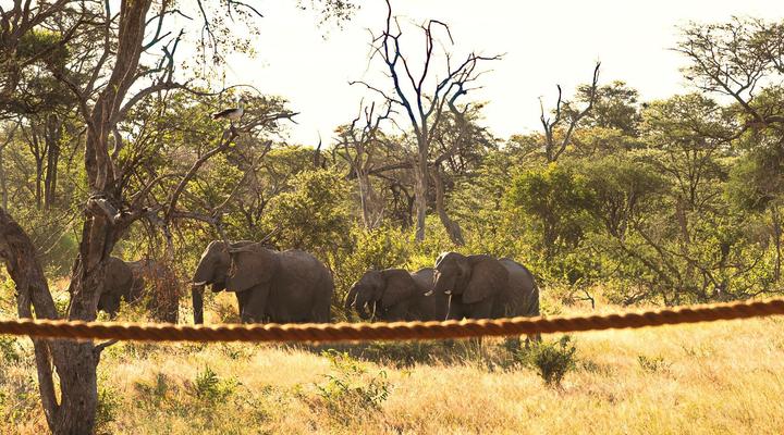 South Okavango | Omogolo Hideaways