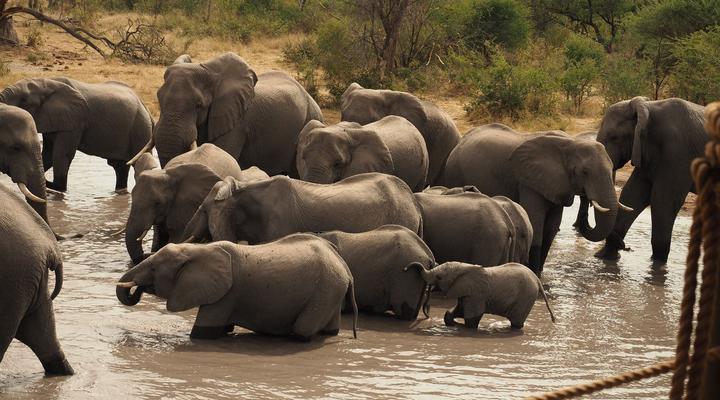 South Okavango | Omogolo Hideaways