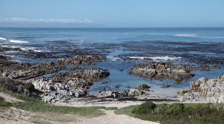 Charming House on the Hill