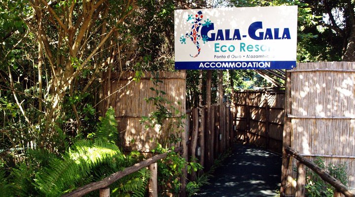 Gala Gala Eco Resort Private Campsites