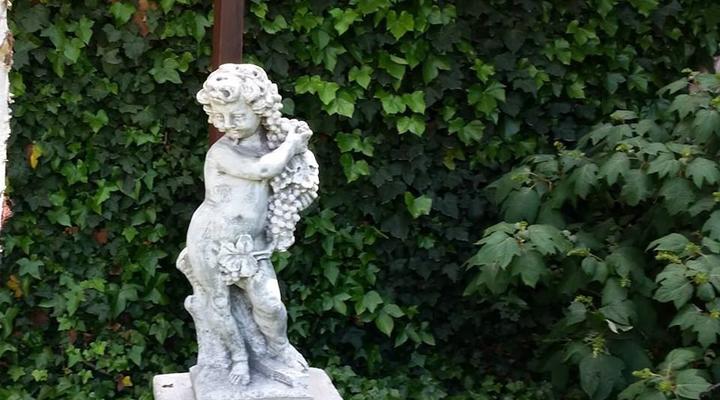 The Yardt Guest House