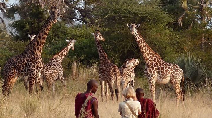 Chem Chem Safari Lodge