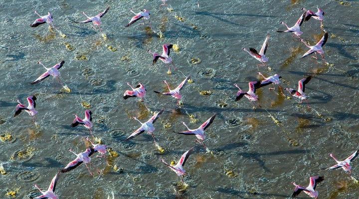 Chem Chem Safari Lodge