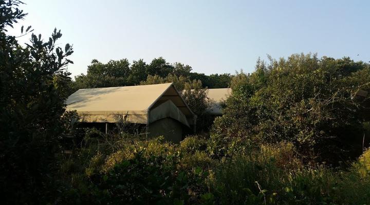 Utshwayelo, Kosi Mouth Lodge and Camp