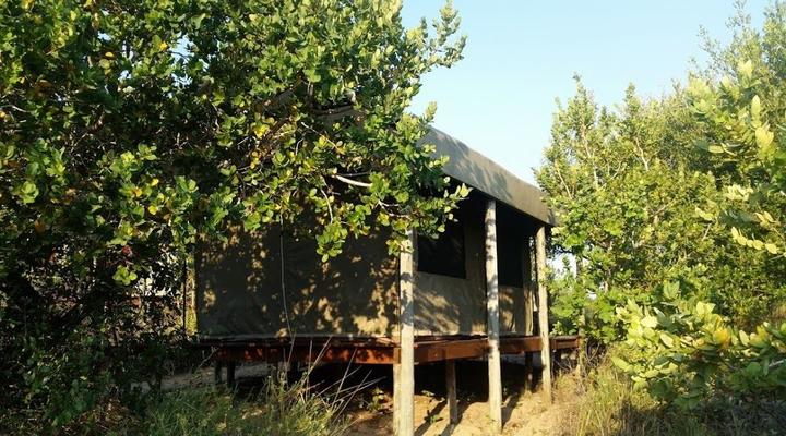 Utshwayelo, Kosi Mouth Lodge and Camp