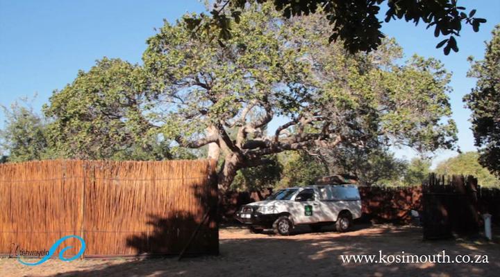 Utshwayelo, Kosi Mouth Lodge and Camp