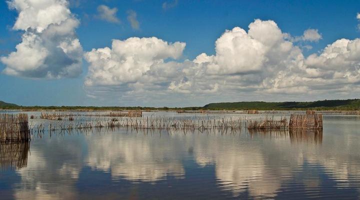 Utshwayelo, Kosi Mouth Lodge and Camp