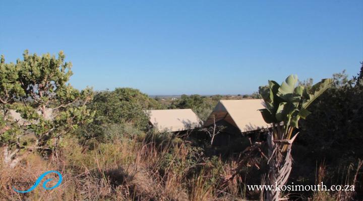 Utshwayelo, Kosi Mouth Lodge and Camp