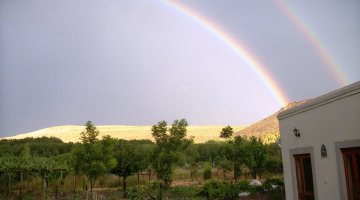 Meerkat Self-Catering